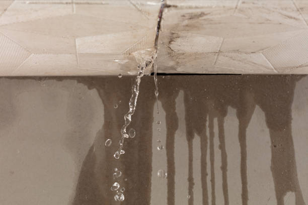 Professional Water Damage Inspection technician working in Greenacres, CA